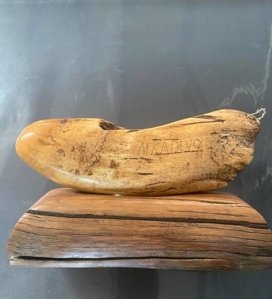 antique Fijian Tabua