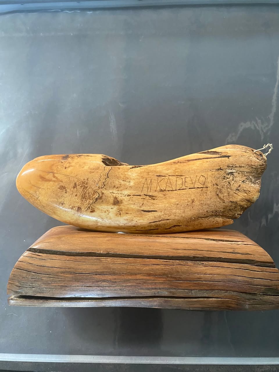 antique Fijian Tabua