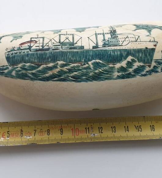 668-gram genuine sperm whale tooth