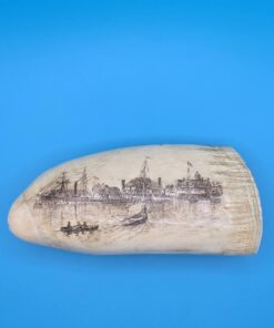 Whale Tooth