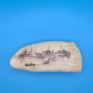Whale Tooth