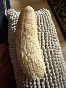 Historic Sperm Whale Tooth