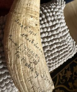 Historic Sperm Whale Tooth