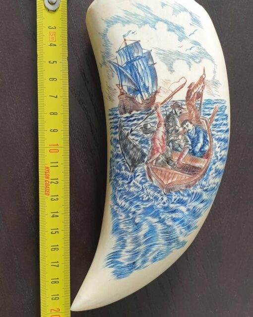 Sperm Whale Tooth