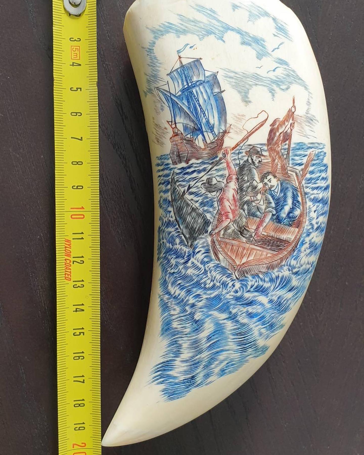 714-gram sperm whale tooth