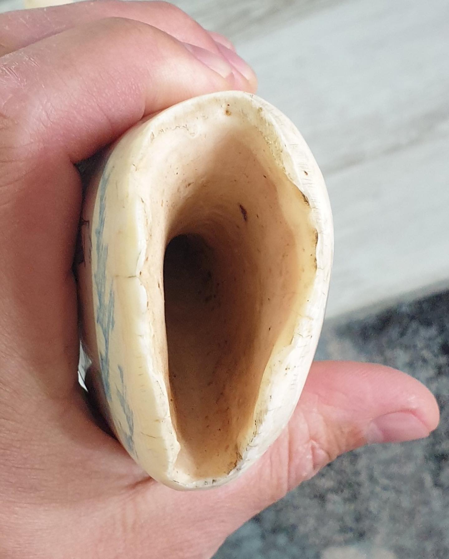 714-gram sperm whale tooth - Image 2