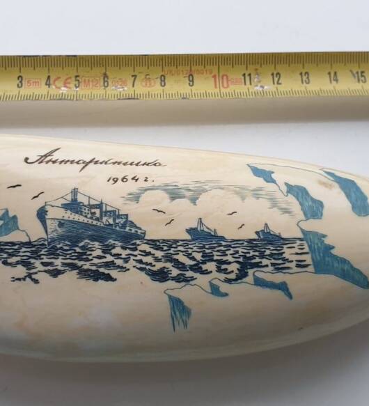 496-gram genuine sperm whale tooth