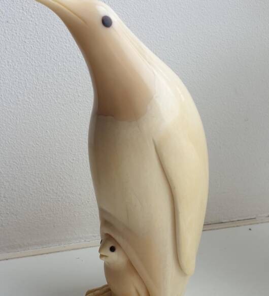452 g Sperm Whale Tooth