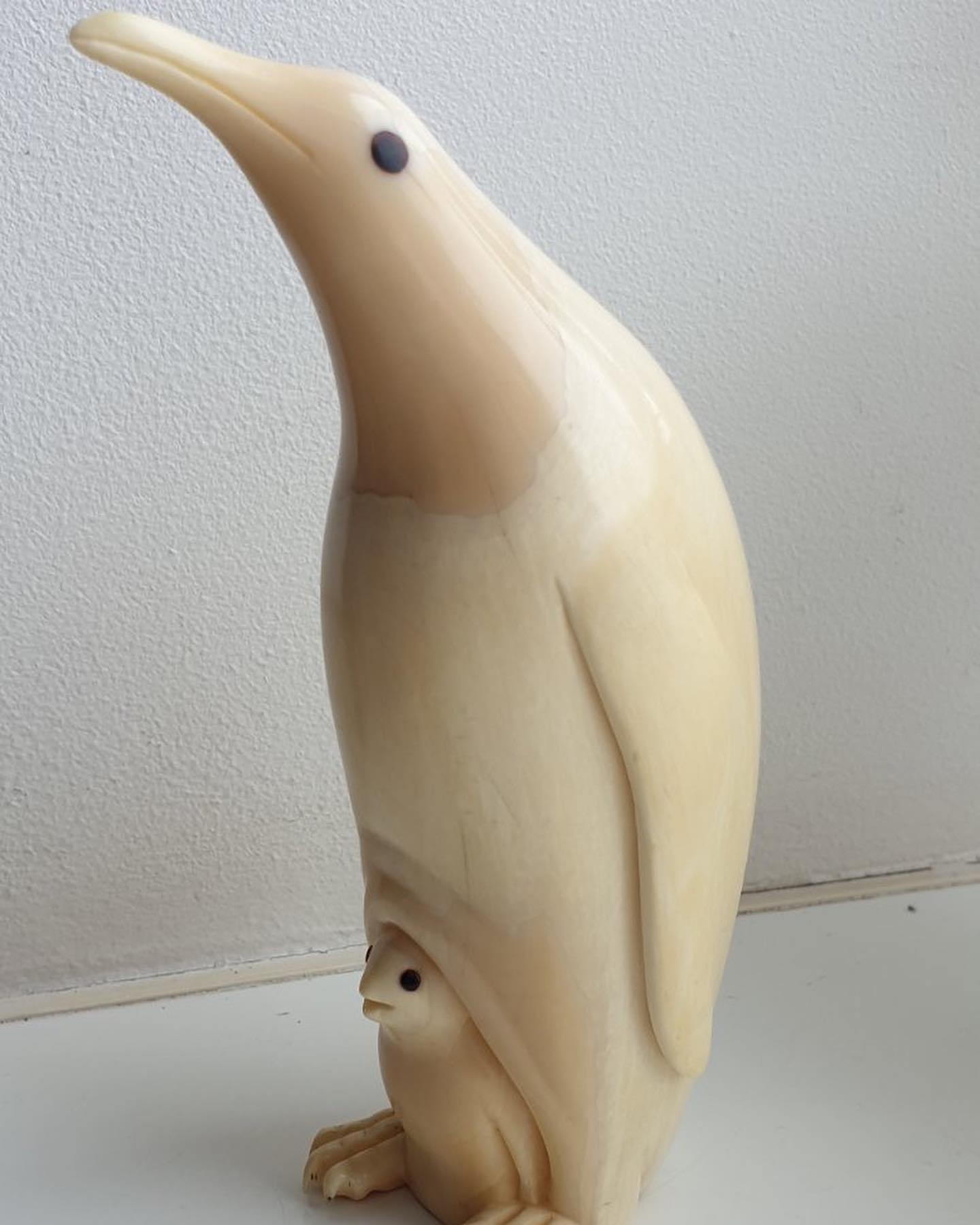 452 g Sperm Whale Tooth