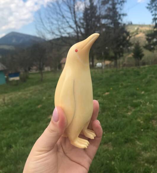 Carved Sperm Whale Tooth
