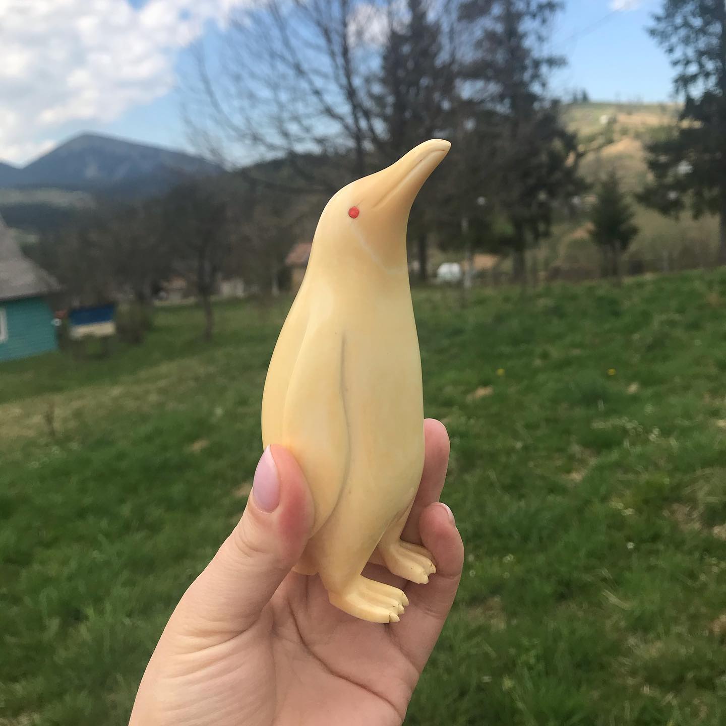 Carved Sperm Whale Tooth