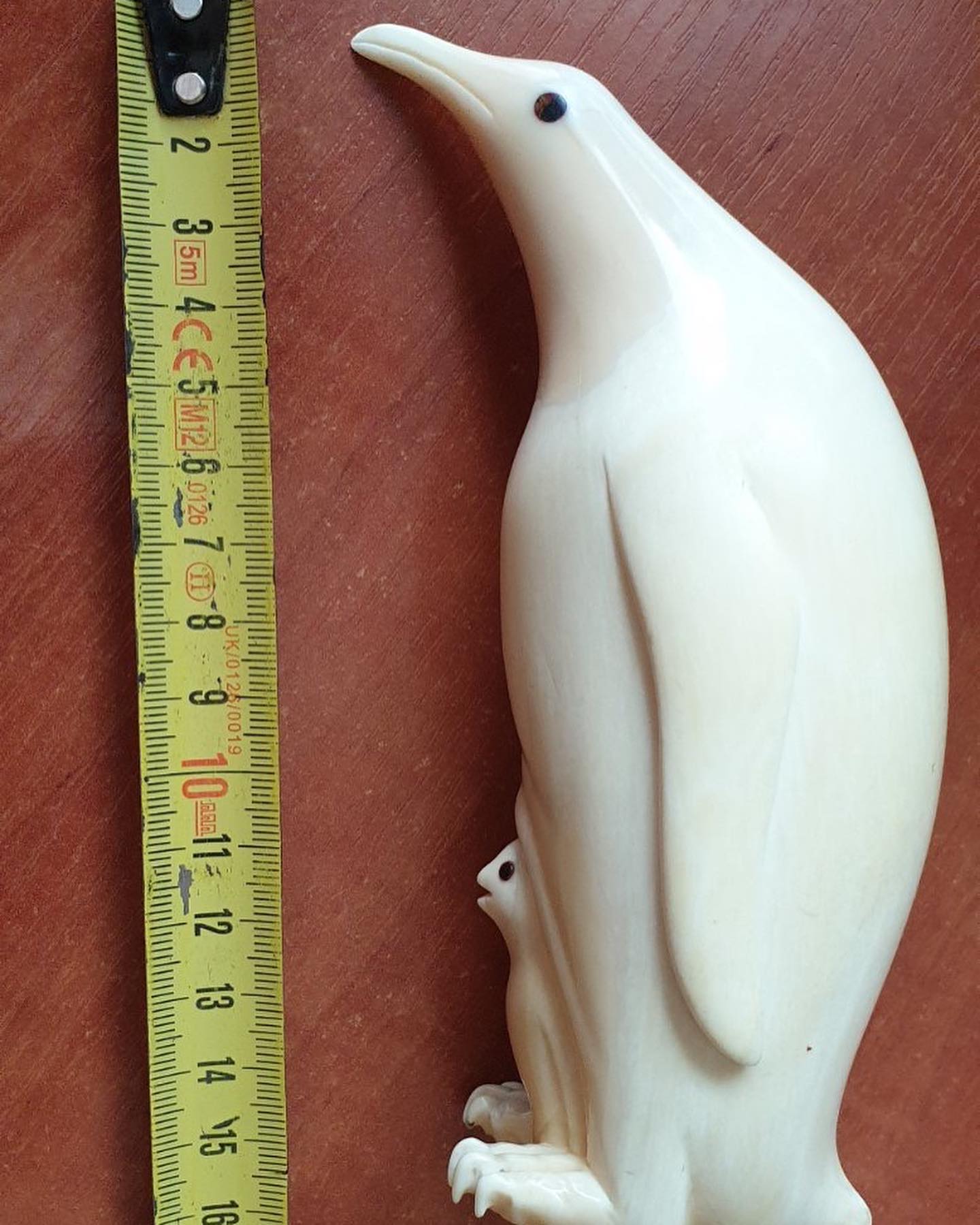 452 g Sperm Whale Tooth - Image 2