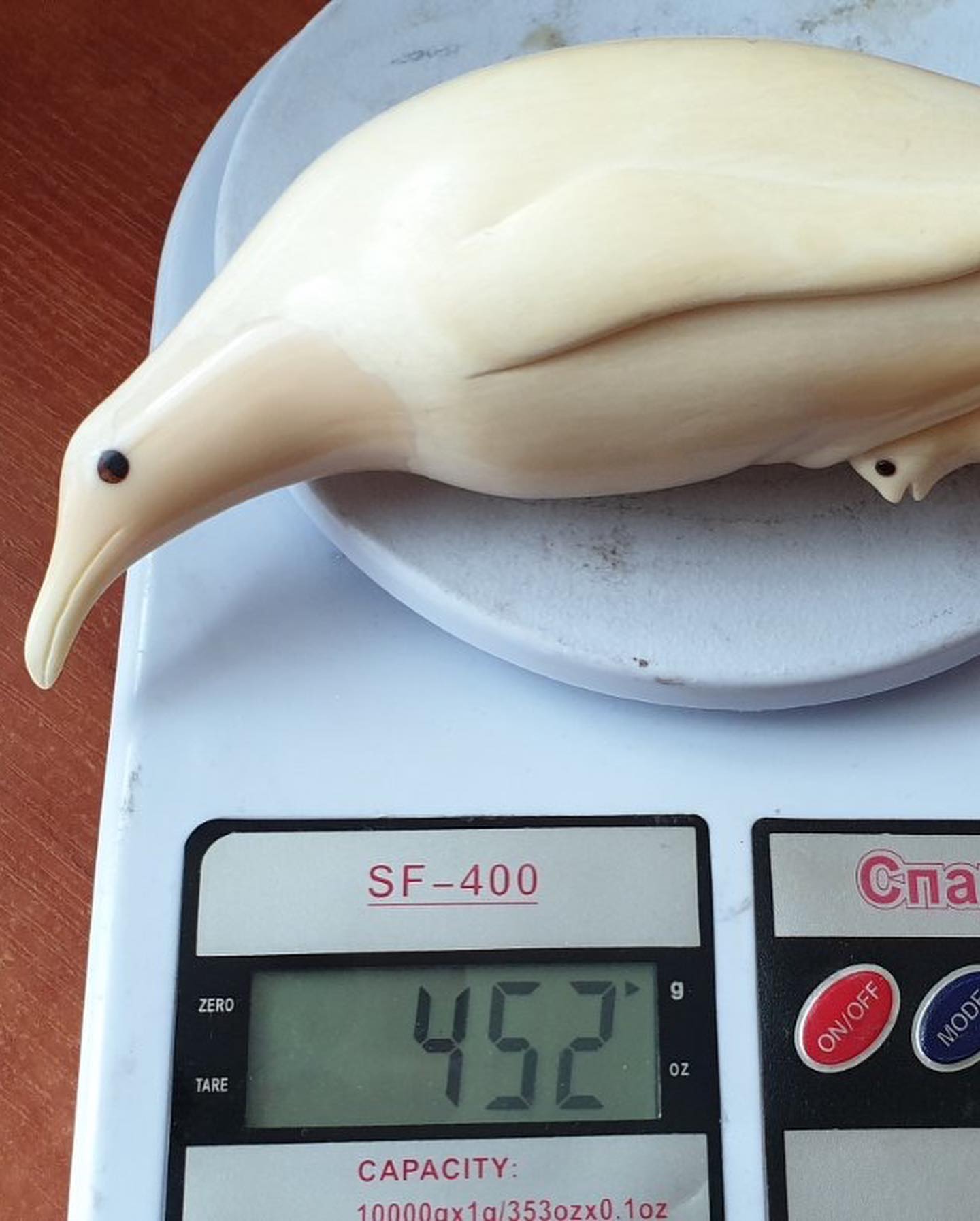 452 g Sperm Whale Tooth - Image 4