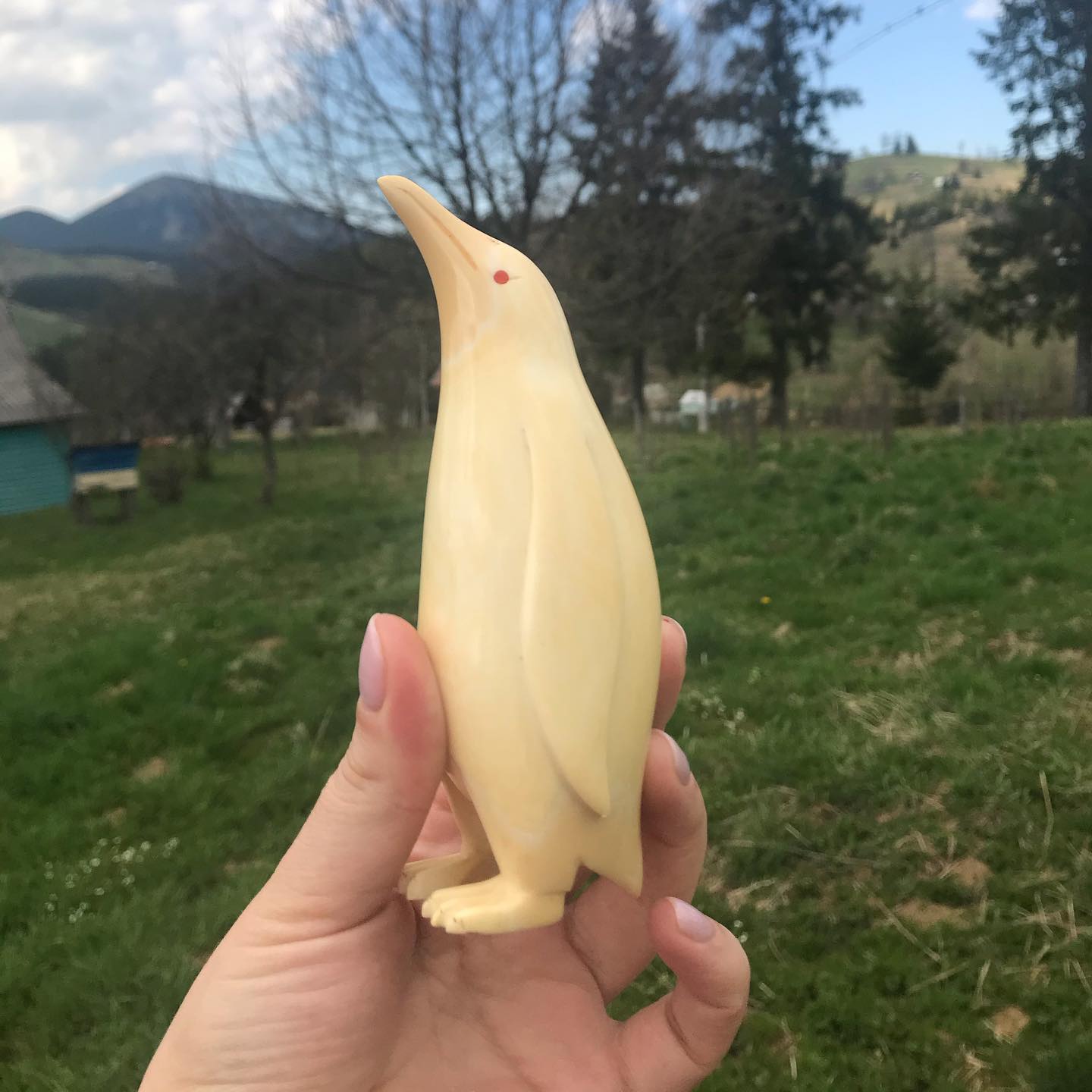 Carved Sperm Whale Tooth - Image 2